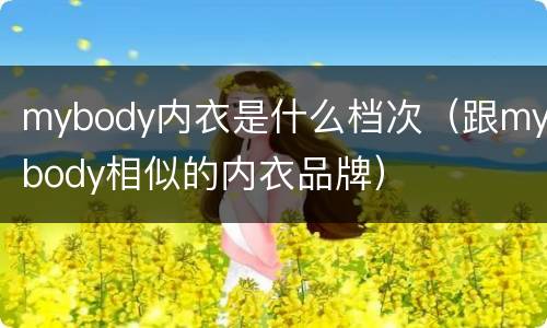 mybody内衣是什么档次（跟mybody相似的内衣品牌）