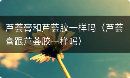 芦荟膏和芦荟胶一样吗（芦荟膏跟芦荟胶一样吗）