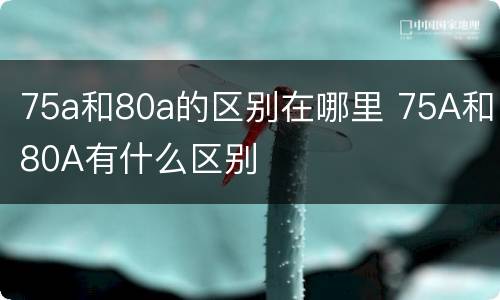 75a和80a的区别在哪里 75A和80A有什么区别