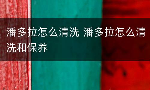 潘多拉怎么清洗 潘多拉怎么清洗和保养