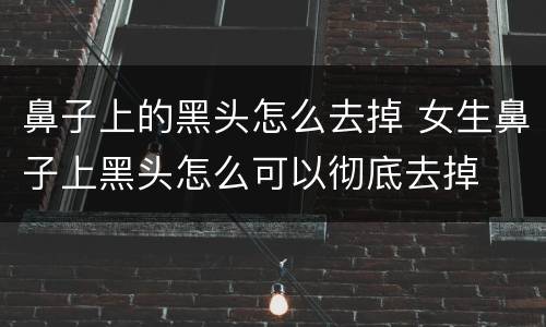 鼻子上的黑头怎么去掉 女生鼻子上黑头怎么可以彻底去掉