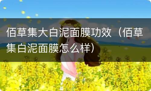 佰草集大白泥面膜功效（佰草集白泥面膜怎么样）