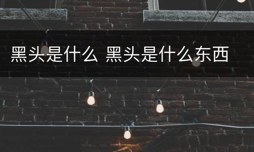 黑头是什么 黑头是什么东西