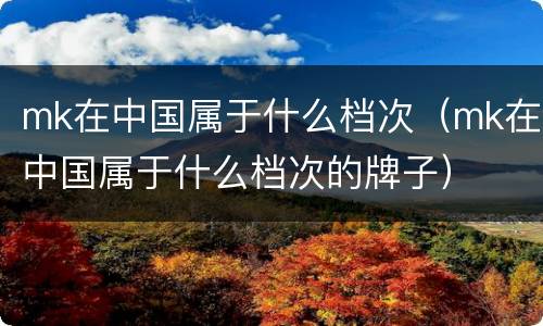 mk在中国属于什么档次（mk在中国属于什么档次的牌子）