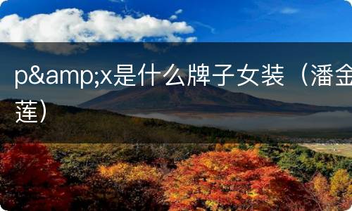 p&x是什么牌子女装（潘金莲）