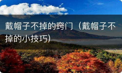 戴帽子不掉的窍门（戴帽子不掉的小技巧）