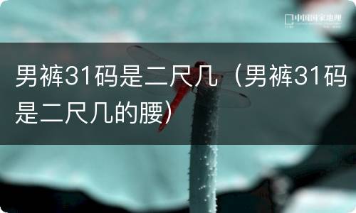 男裤31码是二尺几（男裤31码是二尺几的腰）