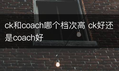 ck和coach哪个档次高 ck好还是coach好