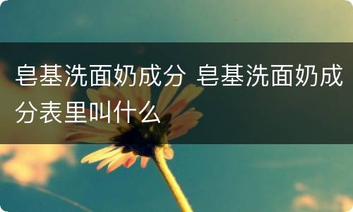 皂基洗面奶成分 皂基洗面奶成分表里叫什么