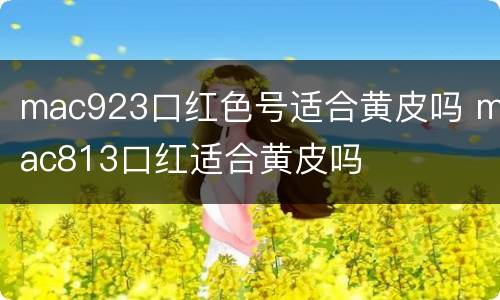 mac923口红色号适合黄皮吗 mac813口红适合黄皮吗