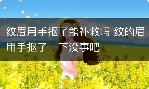 纹眉用手抠了能补救吗 纹的眉用手抠了一下没事吧
