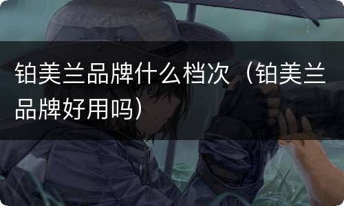 铂美兰品牌什么档次（铂美兰品牌好用吗）