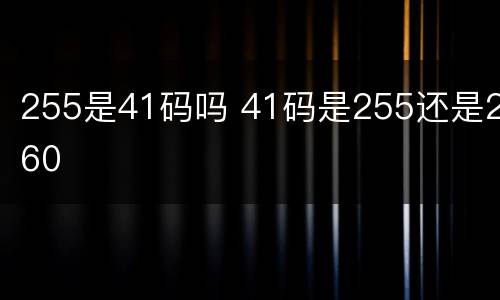 255是41码吗 41码是255还是260