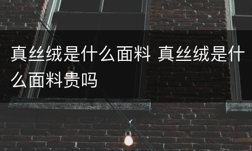 真丝绒是什么面料 真丝绒是什么面料贵吗