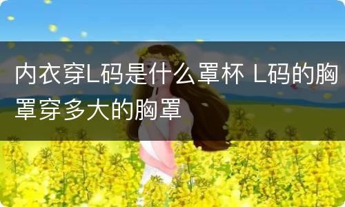 内衣穿L码是什么罩杯 L码的胸罩穿多大的胸罩