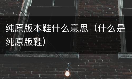 纯原版本鞋什么意思（什么是纯原版鞋）