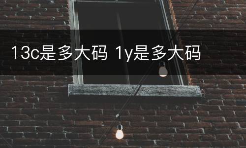 13c是多大码 1y是多大码