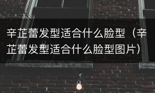 辛芷蕾发型适合什么脸型（辛芷蕾发型适合什么脸型图片）