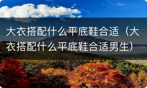 大衣搭配什么平底鞋合适（大衣搭配什么平底鞋合适男生）