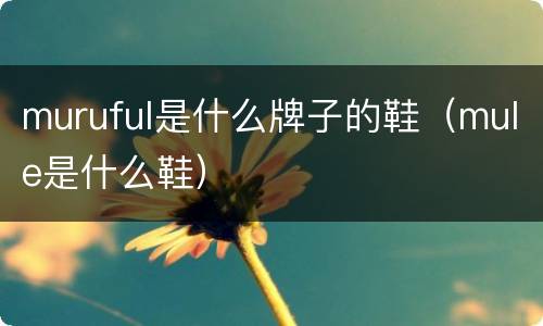muruful是什么牌子的鞋（mule是什么鞋）