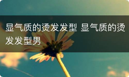 显气质的烫发发型 显气质的烫发发型男