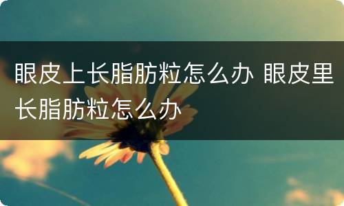 眼皮上长脂肪粒怎么办 眼皮里长脂肪粒怎么办
