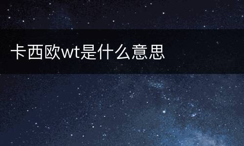 卡西欧wt是什么意思