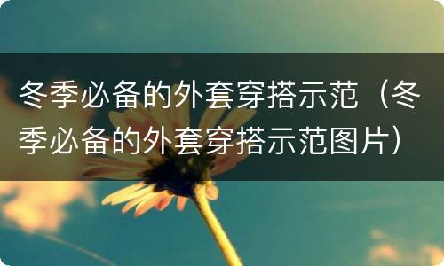 冬季必备的外套穿搭示范（冬季必备的外套穿搭示范图片）