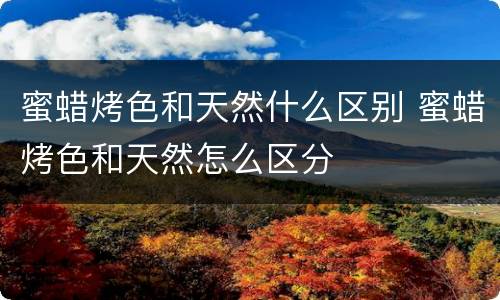 蜜蜡烤色和天然什么区别 蜜蜡烤色和天然怎么区分
