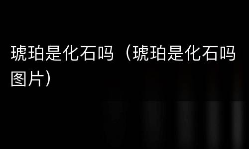 琥珀是化石吗（琥珀是化石吗图片）