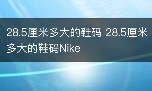 28.5厘米多大的鞋码 28.5厘米多大的鞋码Nike