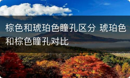 棕色和琥珀色瞳孔区分 琥珀色和棕色瞳孔对比