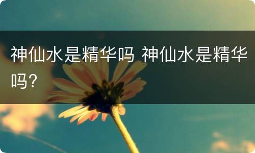 神仙水是精华吗 神仙水是精华吗?