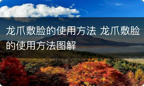 龙爪敷脸的使用方法 龙爪敷脸的使用方法图解