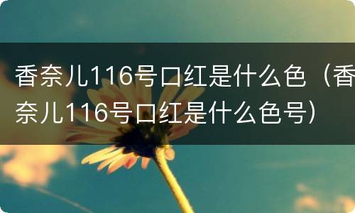 香奈儿116号口红是什么色（香奈儿116号口红是什么色号）