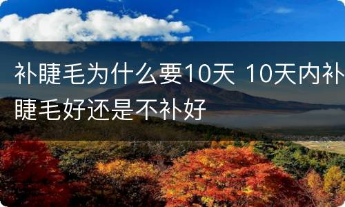 补睫毛为什么要10天 10天内补睫毛好还是不补好