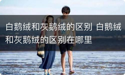 白鹅绒和灰鹅绒的区别 白鹅绒和灰鹅绒的区别在哪里