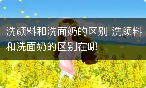 洗颜料和洗面奶的区别 洗颜料和洗面奶的区别在哪