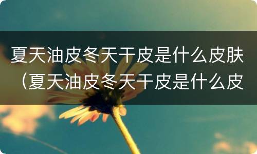 夏天油皮冬天干皮是什么皮肤（夏天油皮冬天干皮是什么皮肤原因）