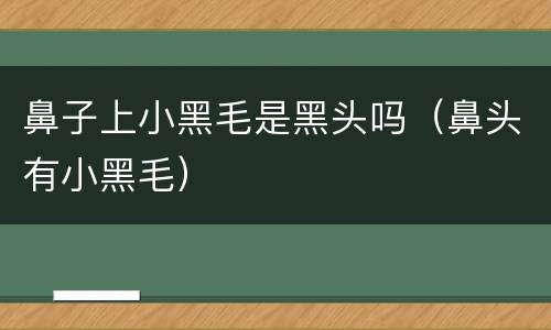 鼻子上小黑毛是黑头吗（鼻头有小黑毛）