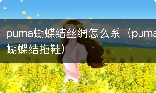 puma蝴蝶结丝绸怎么系（puma蝴蝶结拖鞋）