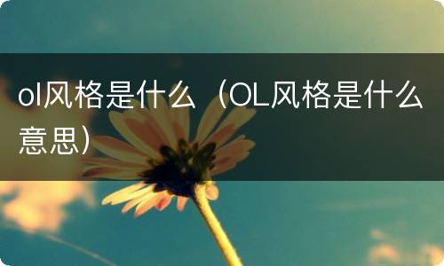 ol风格是什么（OL风格是什么意思）