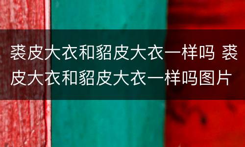 裘皮大衣和貂皮大衣一样吗 裘皮大衣和貂皮大衣一样吗图片