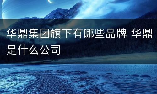 华鼎集团旗下有哪些品牌 华鼎是什么公司
