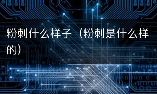 粉刺什么样子（粉刺是什么样的）