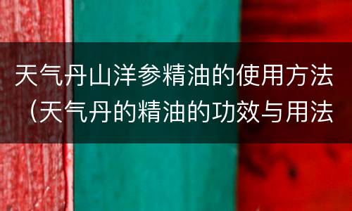 天气丹山洋参精油的使用方法（天气丹的精油的功效与用法）