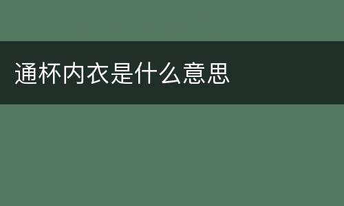 通杯内衣是什么意思