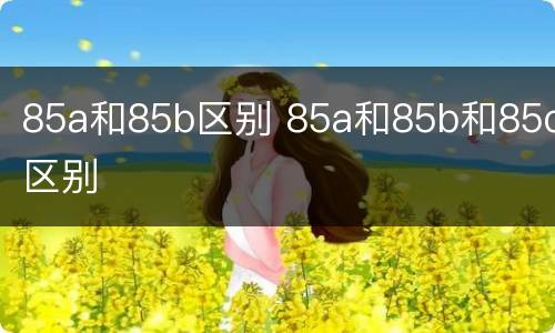 85a和85b区别 85a和85b和85c区别