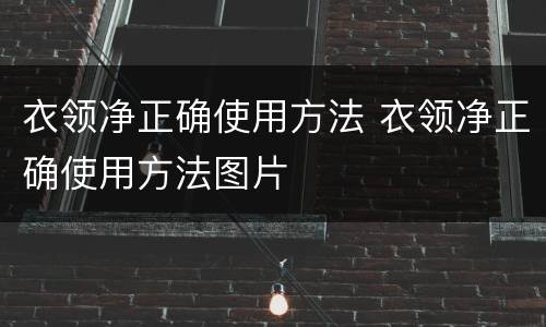 衣领净正确使用方法 衣领净正确使用方法图片
