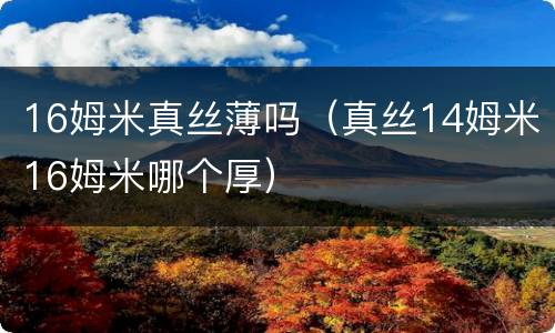 16姆米真丝薄吗（真丝14姆米16姆米哪个厚）